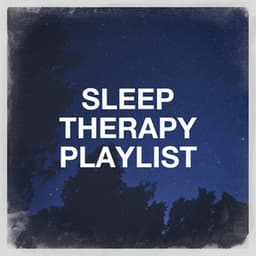 Sleep Therapy Playlist - Oasis de Détente et Relaxation