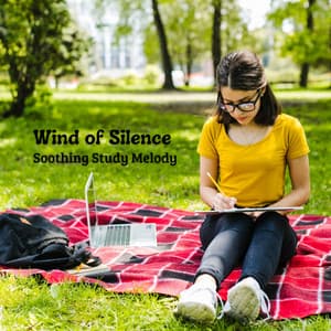 Wind of Silence: Soothing Study Melody - Nature Vibrations