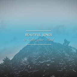 #17 Beautiful Songs to Calm the Mind - Deep Meditation