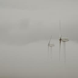 100 Wavelengths: Power in Stillness - Nature Sound Collection