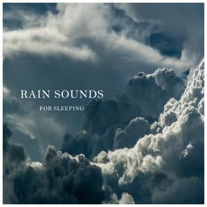 Rain Sounds for Sleeping - Suoni di Pioggia di Beneluxa