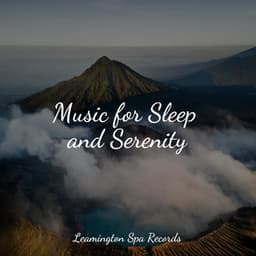 Music for Sleep and Serenity - Rain Spa