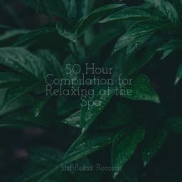 50 Hour Compilation for Relaxing at the Spa - Reiki Tribe
