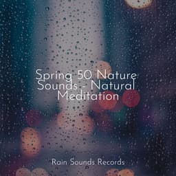 Spring 50 Nature Sounds - Natural Meditation - Sonidos De Truenos y Lluvia