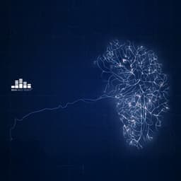 Sensorimotor Flow - Brain Waves Therapy