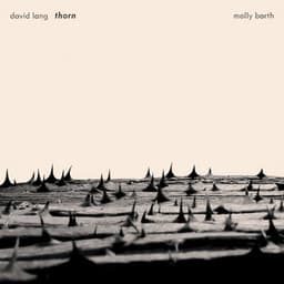 David Lang: Thorn - David Lang