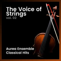 The Voice Of Strings Vol.02 - Marco Esposito