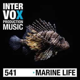 Marine Life - Michael Werner Maas