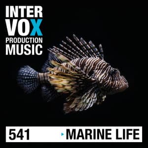 Marine Life - Michael Werner Maas