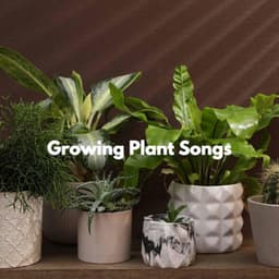 Growing Plant Songs - Lounge Music for Restaurants