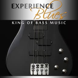 Experience Blues: King of Bass Music, Big Daddy BB Blues, Acoustic Music Rock - Green Blues Group