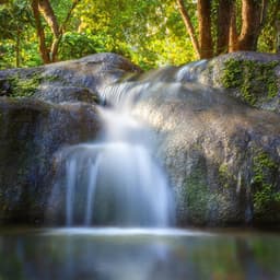 Tranquilidad Del Spa Lofi: Ritmos Suaves Para La Sanación - Terapia de naturaleza
