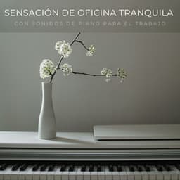Sensación De Oficina Tranquila Con Sonidos De Piano Para El Trabajo - Piano: relajación clásica