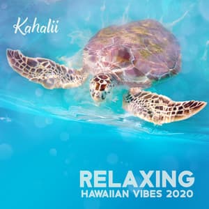 Relaxing Hawaiian Vibes 2020 - Kahalii