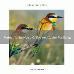 Perfect White Noise Of Sea And Water For Sleep - The Noise Project