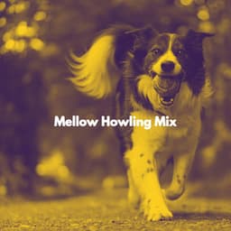 Mellow Howling Mix - Musica para Perros