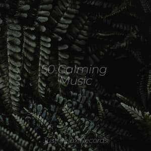 50 Calming Music - Relajación