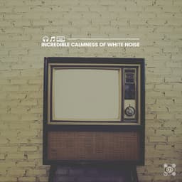 Incredible Calmness of White Noise - White Noise Android