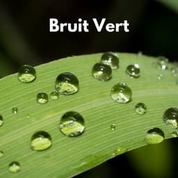 Bruit Vert - Bruit Blanc Apaisant pour Dormir et Masser les Nourrissons, Pleurer et Soulager les Coliques