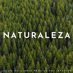 Naturaleza: Lluvia Relajante Para La Paz Interior - Lluvia y Naturaleza