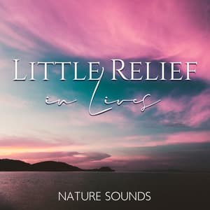 Little Relief in Lives: Nature Sounds, Chakra Balancing, Meditation and Relaxation - Calm Nature Oasis