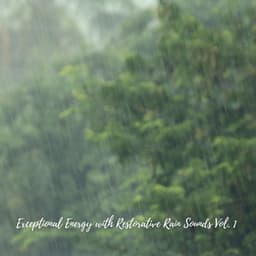 Exceptional Energy with Restorative Rain Sounds Vol. 1 - Worldwide Nature Studios