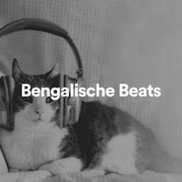 Bengalische Beats - Katzenmusik