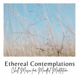Ethereal Contemplations: Chill Music for Mindful Meditation - Ethereal Notes