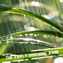 The Early Morning Rain - Relax Your Body & Mind with the Beautiful High Quality Rain Sounds - Rain Music!