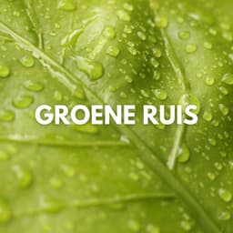 Groene Ruis - Witte Ruis om te Slaapen