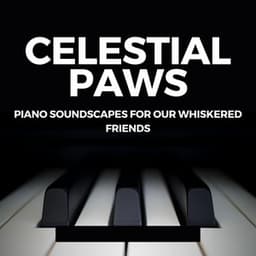 Celestial Paws: Piano Soundscapes for Our Whiskered Friends - Relaxing Jazz Piano