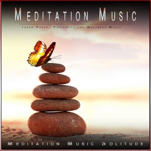 Meditation Music: Inner Peace, Positivity and Wellness Music - Meditation Music Solitude