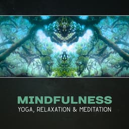 Mindfulness: Yoga, Relaxation & Meditation - Ultimate Music Academy