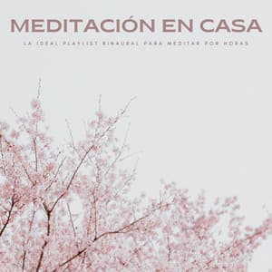 Meditación En Casa: La Ideal Playlist Binaural Para Meditar Por Horas - Instrumental Jazz Musica Ambiental
