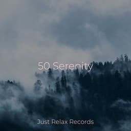 50 Serenity - Música Para Meditar y Relajarse