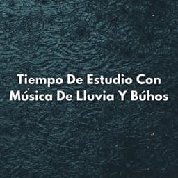 Tiempo De Estudio Con Música De Lluvia Y Búhos - HD lluvia y agua