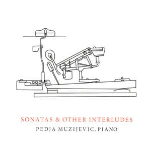 Sonatas and Other Interludes - Pedja Muzijevic