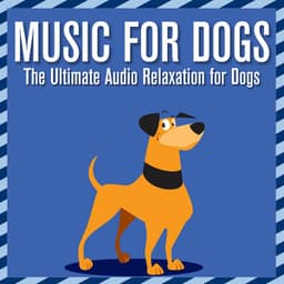 Music for Dogs: The Ultimate Audio Relaxation for Dogs - Music For Pets