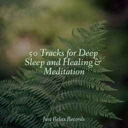 50 Tracks for Deep Sleep and Healing & Meditation - Musica para Bebes