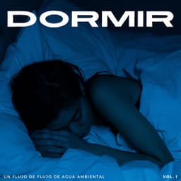 Dormir: Un Flujo De Flujo De Agua Ambiental Vol. 1 - Música para Dormir Con Relajantes Sonidos de la Naturaleza