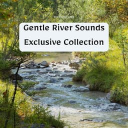Gentle River Sounds Exclusive Collection - River Noise ASMR