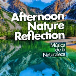 Afternoon Nature Reflection - Música de la Naturaleza