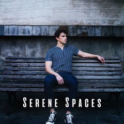 Serene Spaces: Ambient Music for Relaxation - Nighttime Relaxation Melodies