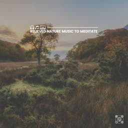 Relieved Nature Music to Meditate - Wildlife Sound Recordings