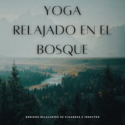 Yoga Relajado En El Bosque: Sonidos Relajantes De Cigarras E Insectos - La fuga del bosque