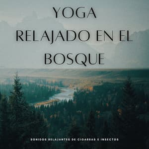 Yoga Relajado En El Bosque: Sonidos Relajantes De Cigarras E Insectos - La fuga del bosque