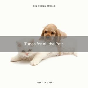 Tunes for All the Pets - Pets Relax