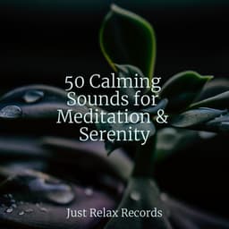 50 Calming Sounds for Meditation & Serenity - Soothing Sounds