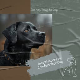 Jazz Whispers to Comfort Your Dog - Jazz Music Therapy for Dogs