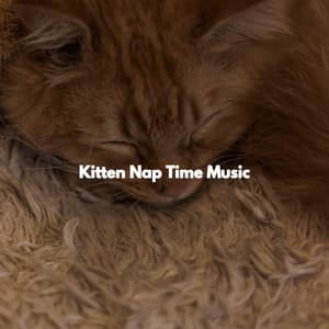 Kitten Nap Time Music - French Cafe Jazz Relaxation